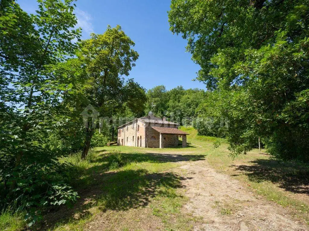 Rustico sc delle grete, Castel Focognano - foto 5