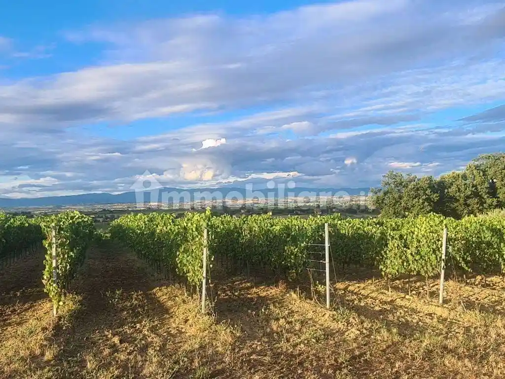 Rustico - Casale in vendita a Montepulciano