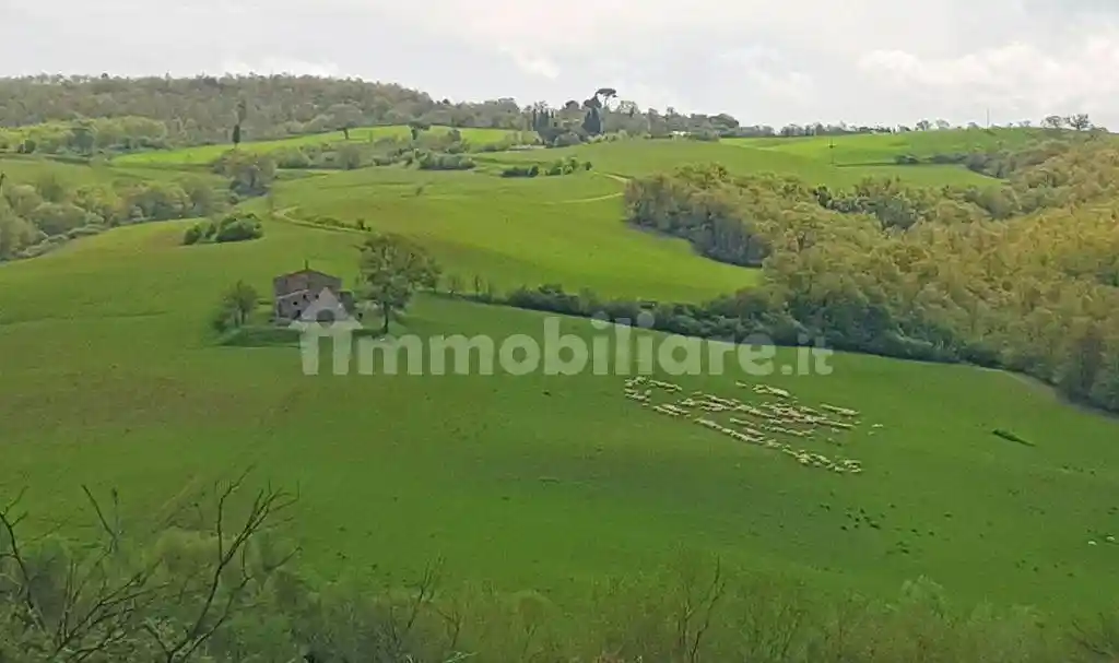 Rustico - Casale in vendita a Montepulciano