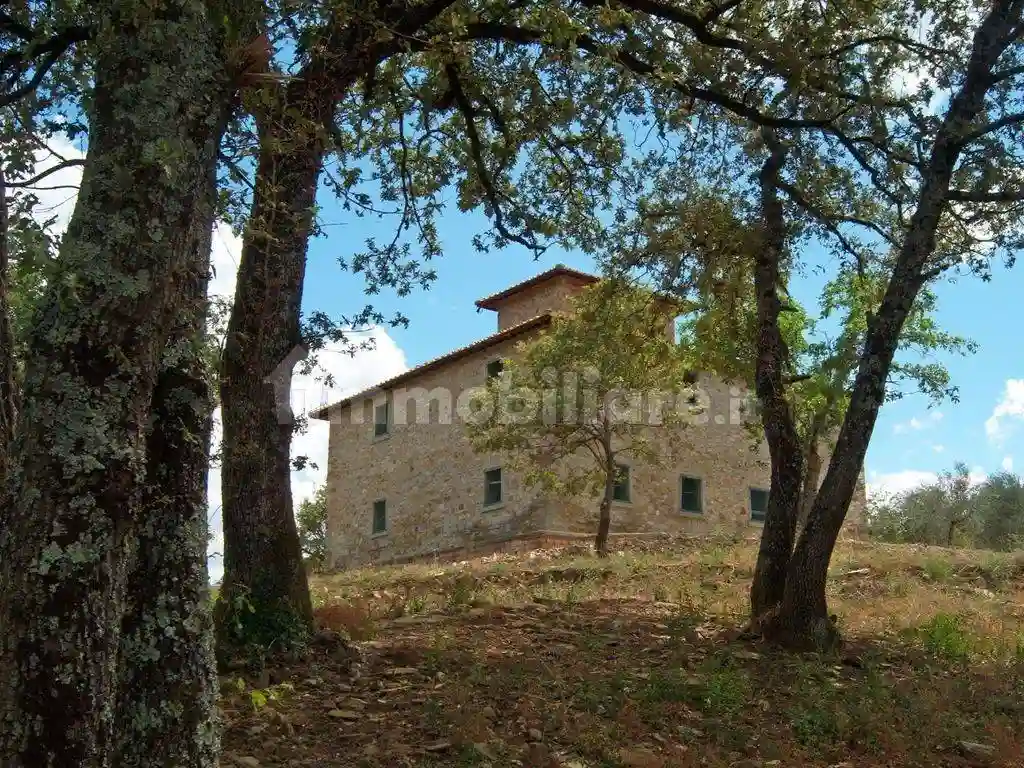 Rustico - Casale - foto 4