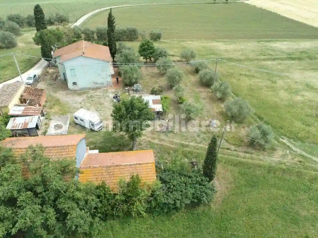 Rustico - Casale - foto 5