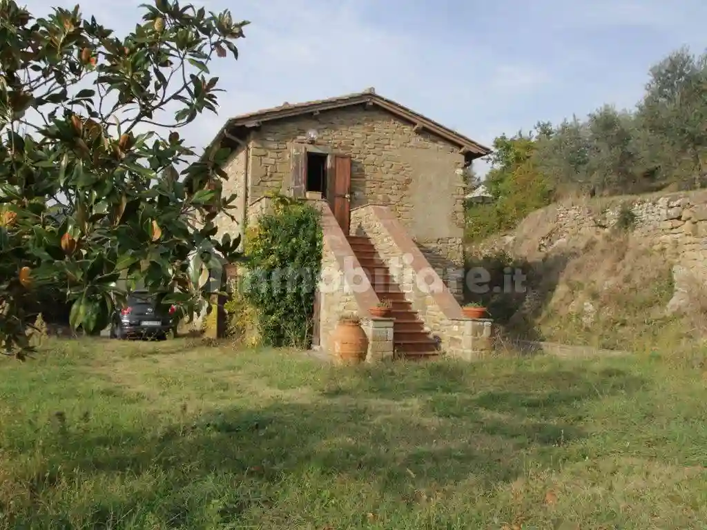 Rustico - Casale - foto 3