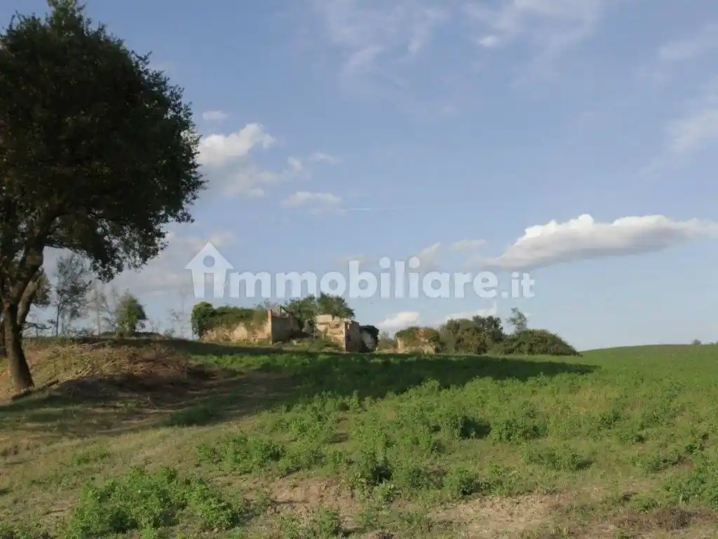 Rustico - Casale in vendita a Asciano