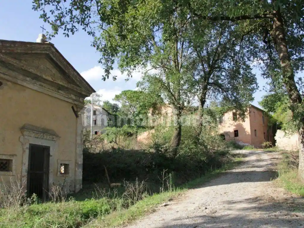 Rustico - Casale in vendita a Asciano