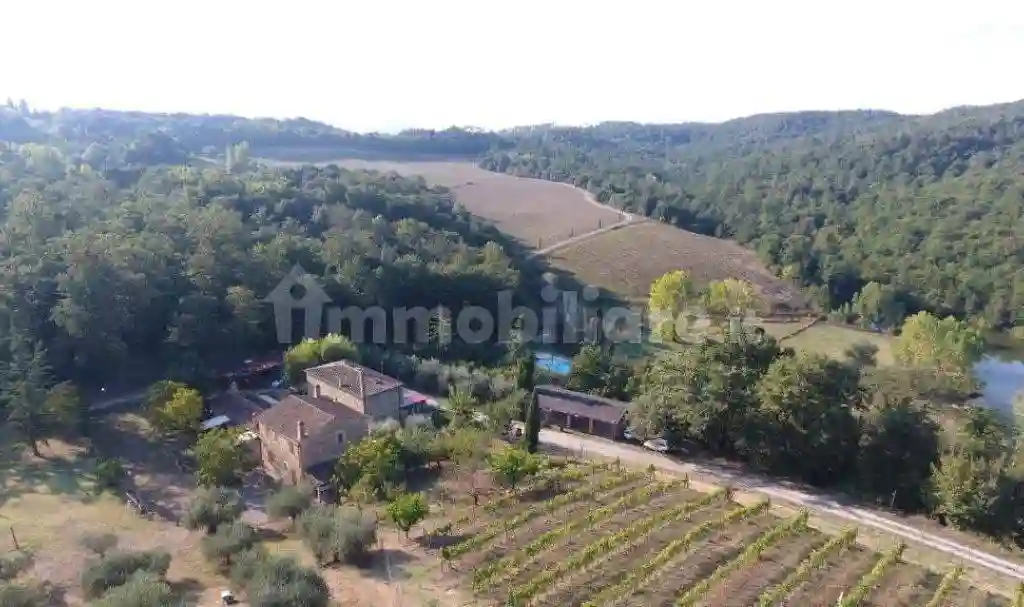 Rustico - Casale - foto 3