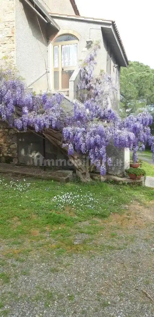 Rustico - Casale in vendita a Campagnatico