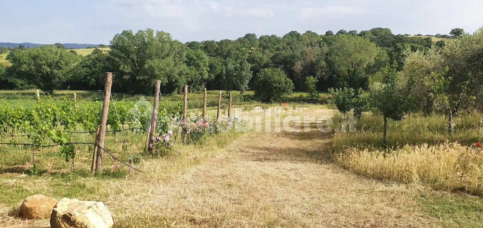 Terratetto unifamiliare Strada Provinciale Voltina, Campagnatico - foto 4