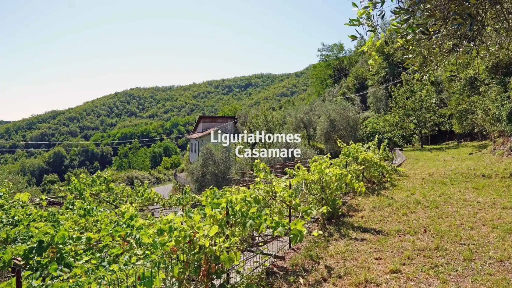 Terratetto plurifamiliare Strada Ville San Pietro, Borgomaro - foto 3