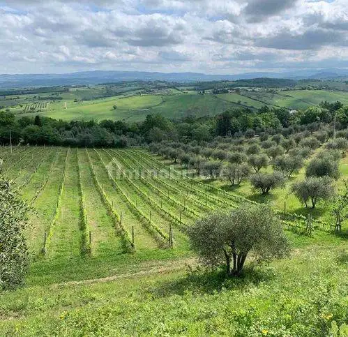 Rustico - Casale in vendita a Cinigiano