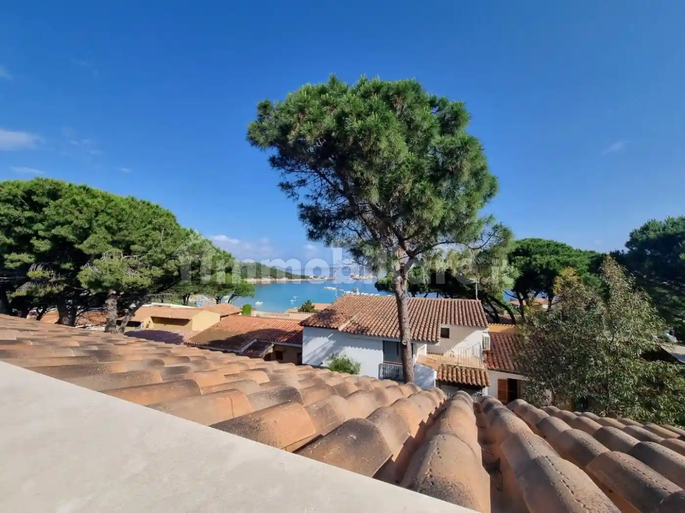 Monolocale nuovo, Baja Sardinia, Arzachena - foto 4