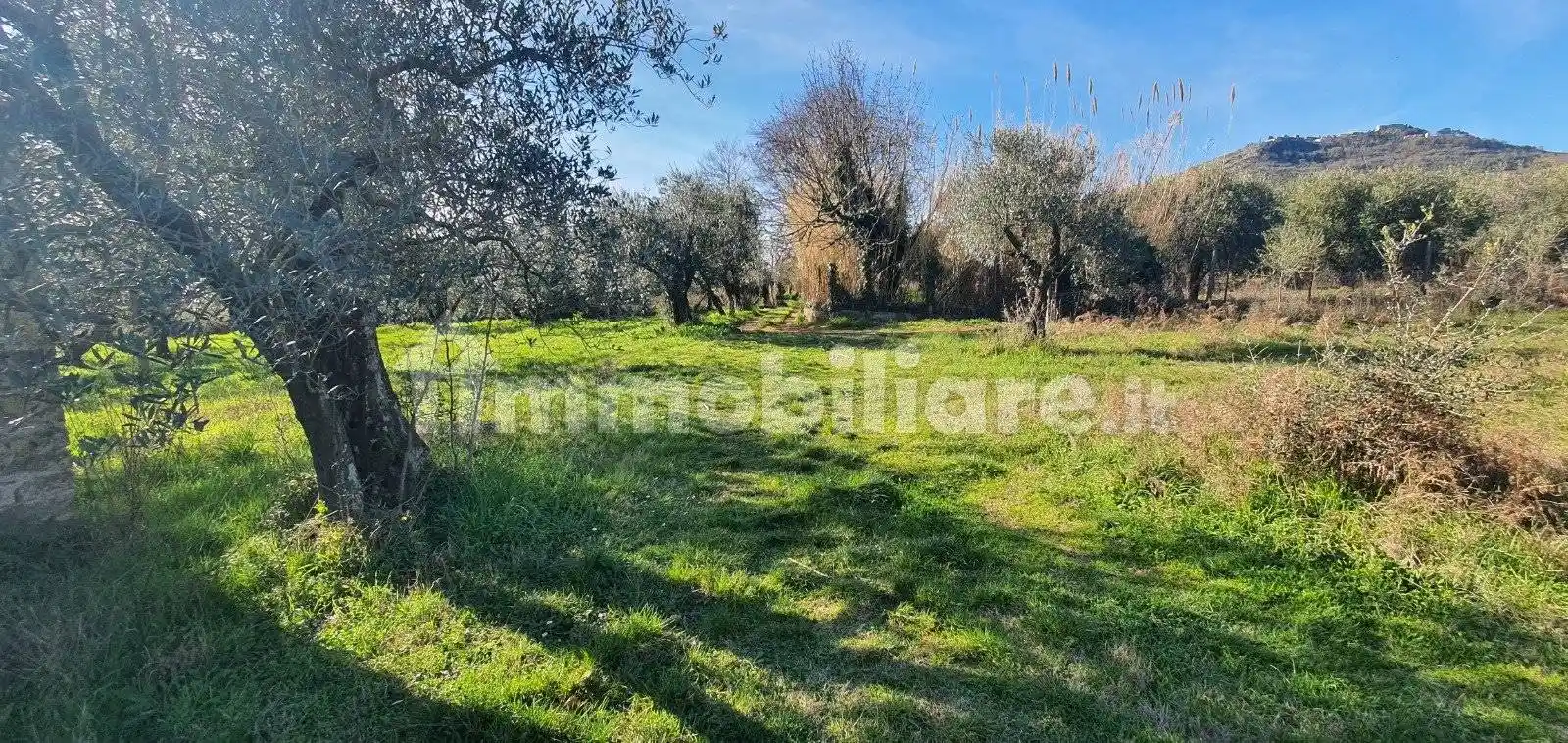 Rustico - Casale in vendita a Palestrina