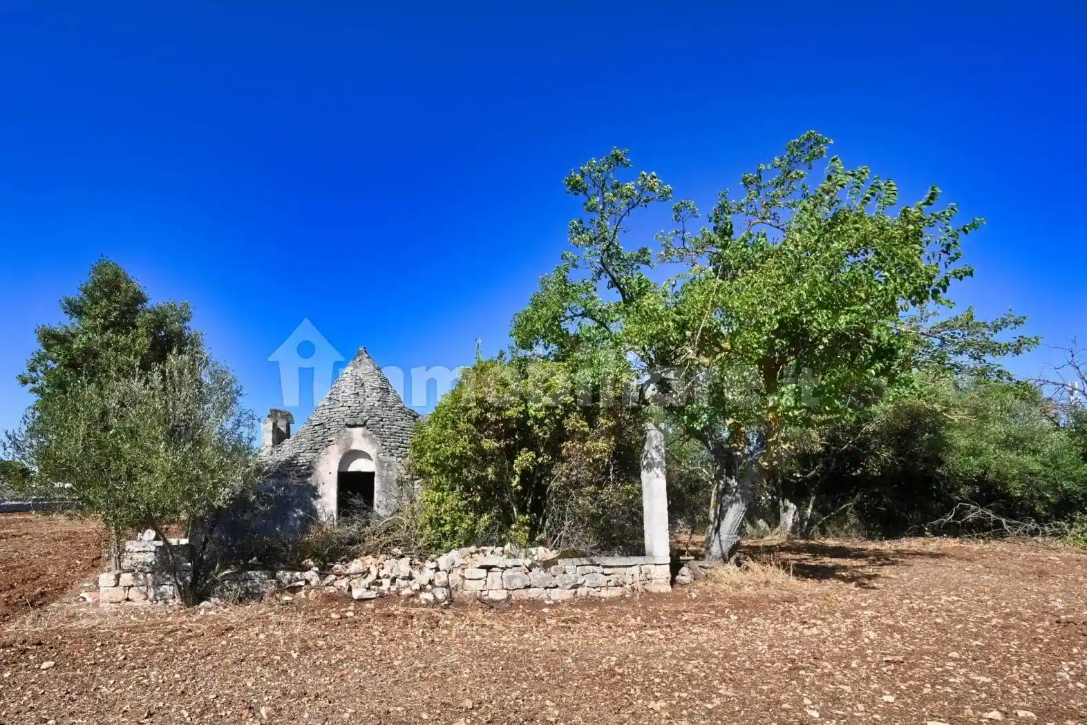 Rustico - Casale in vendita a Putignano