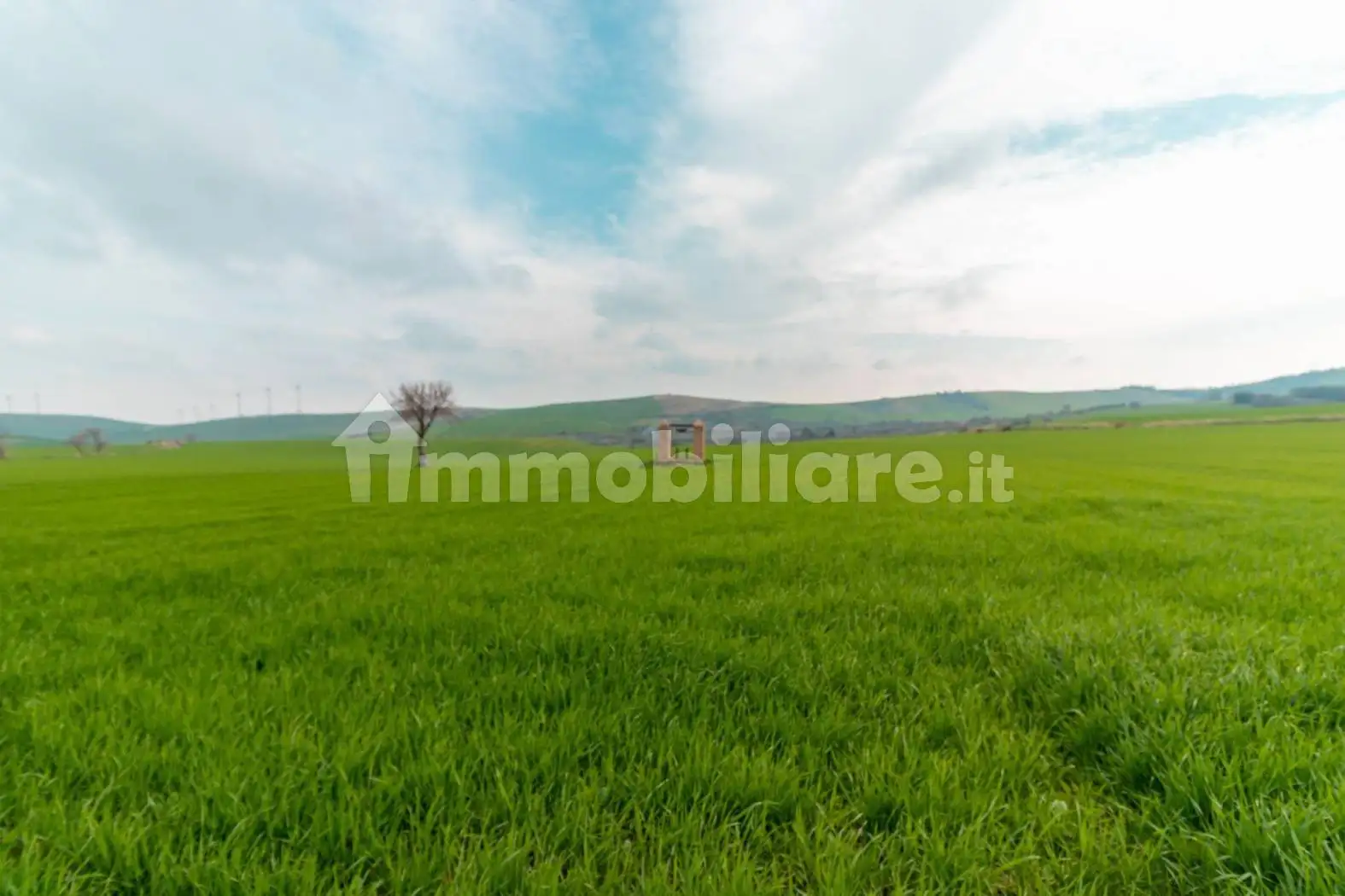 Masseria Contrada Sterparo Mascia, Biccari - foto 3