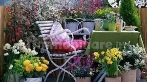 Appartamento in affitto a Rovigo