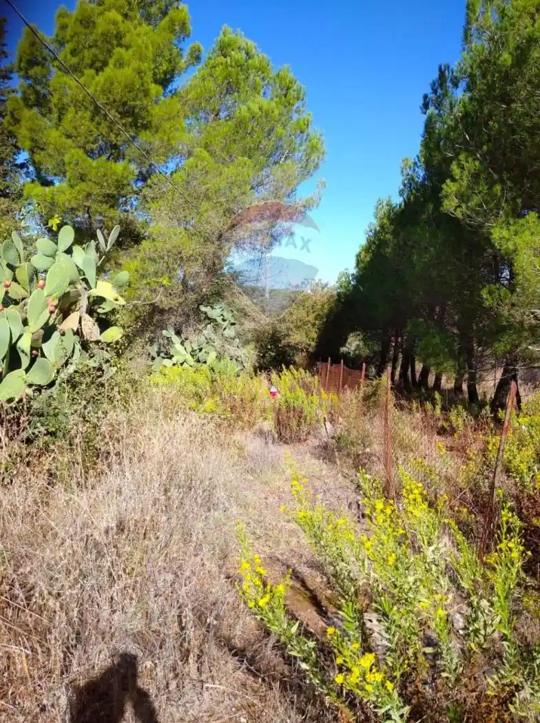 Rustico Contrada Conventazzo snc, Vizzini - foto 3
