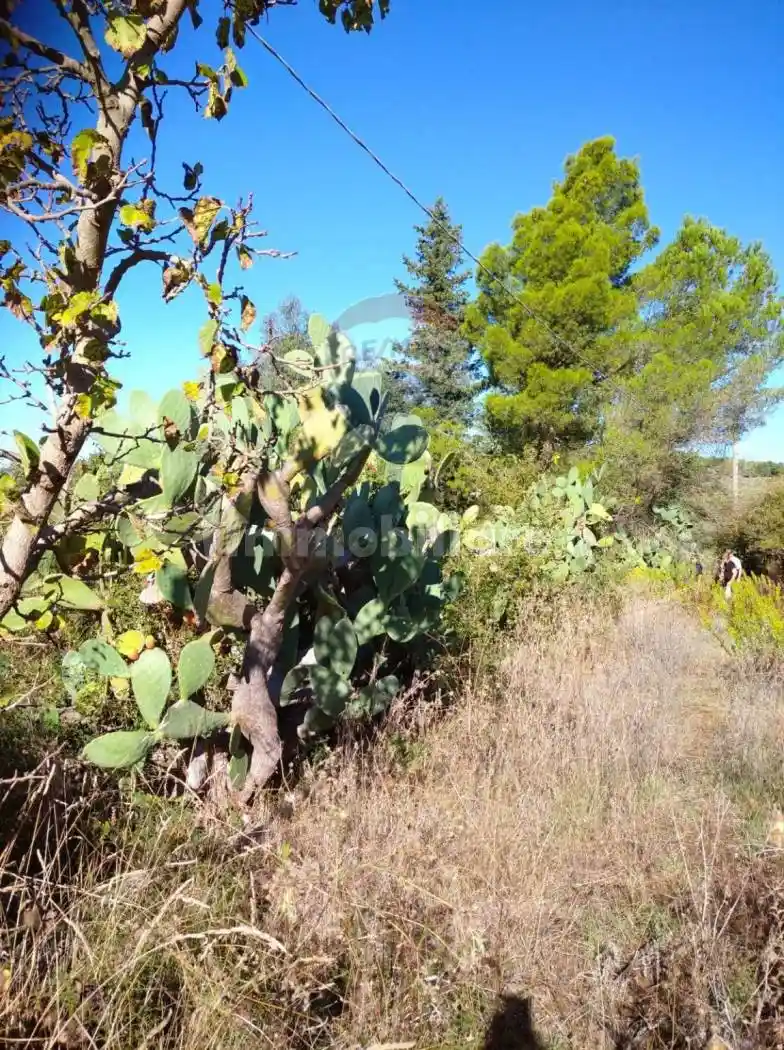 Rustico Contrada Conventazzo snc, Vizzini - foto 5