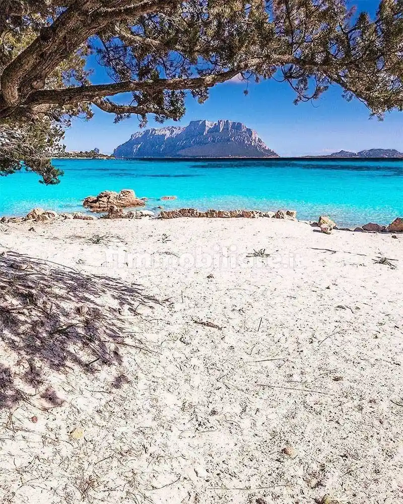 Appartamento in vendita a Olbia