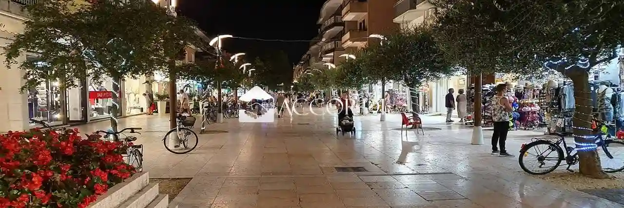 Palazzo - Edificio - foto 5