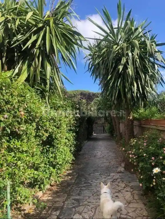 Quadrilocale viale Severiano 16, Sacro Cuore, Anzio - foto 2