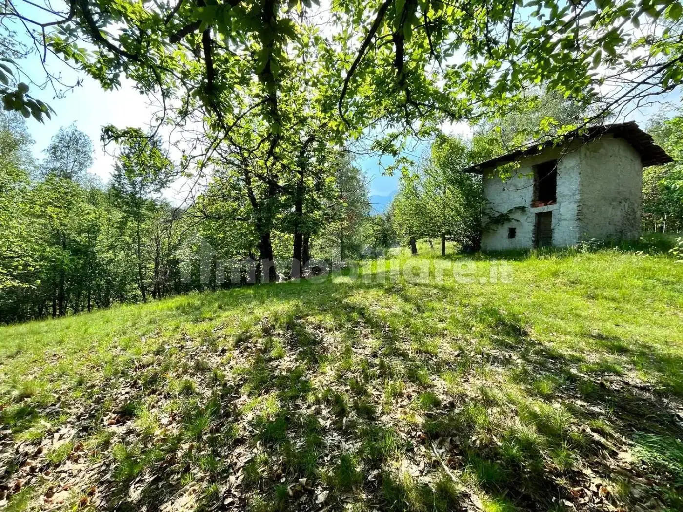 Rustico - Casale in vendita a Pralungo