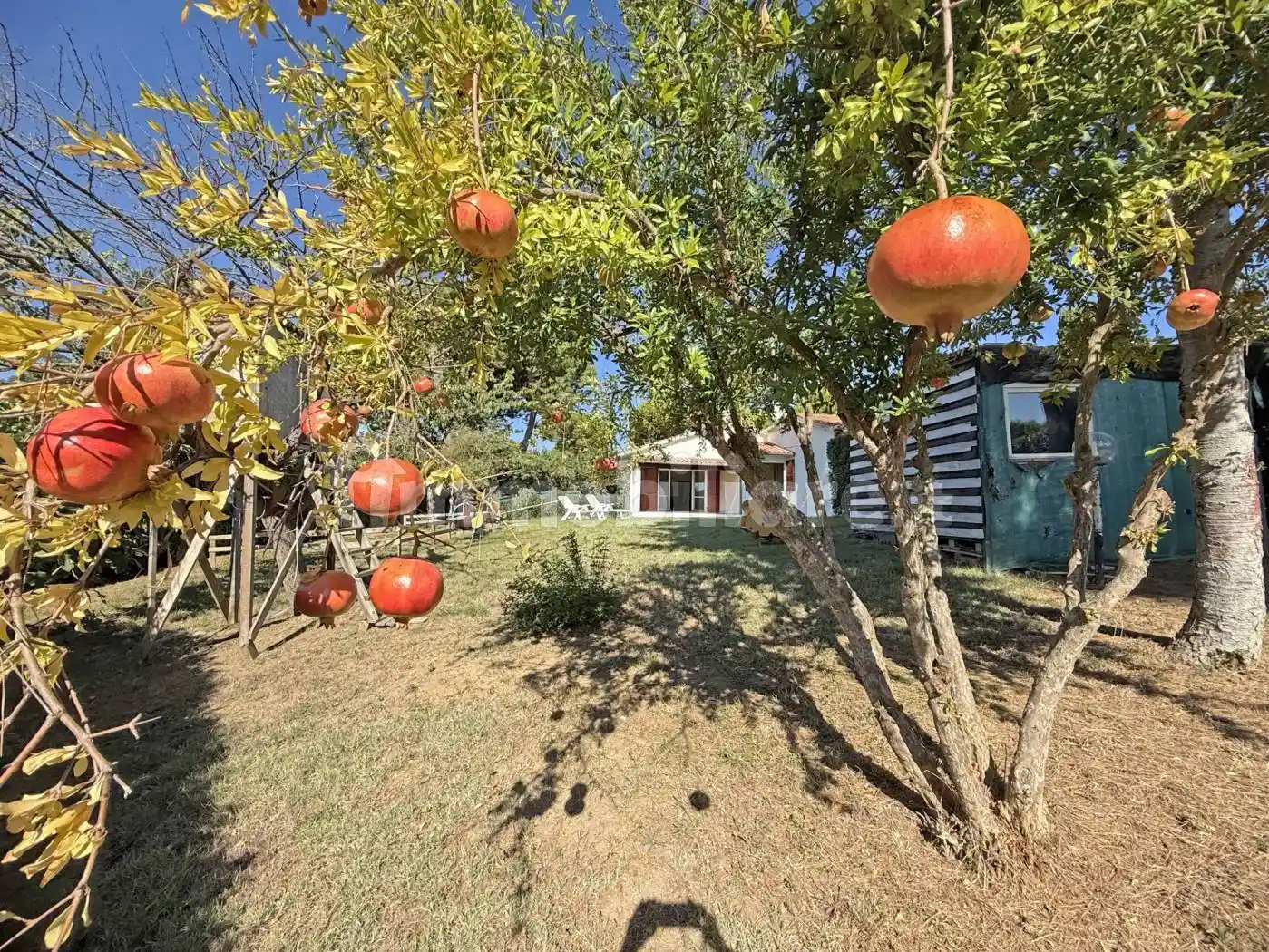 Villa unifamiliare via dell'Olivo 8, Villaggio Taunus, Numana - foto 5