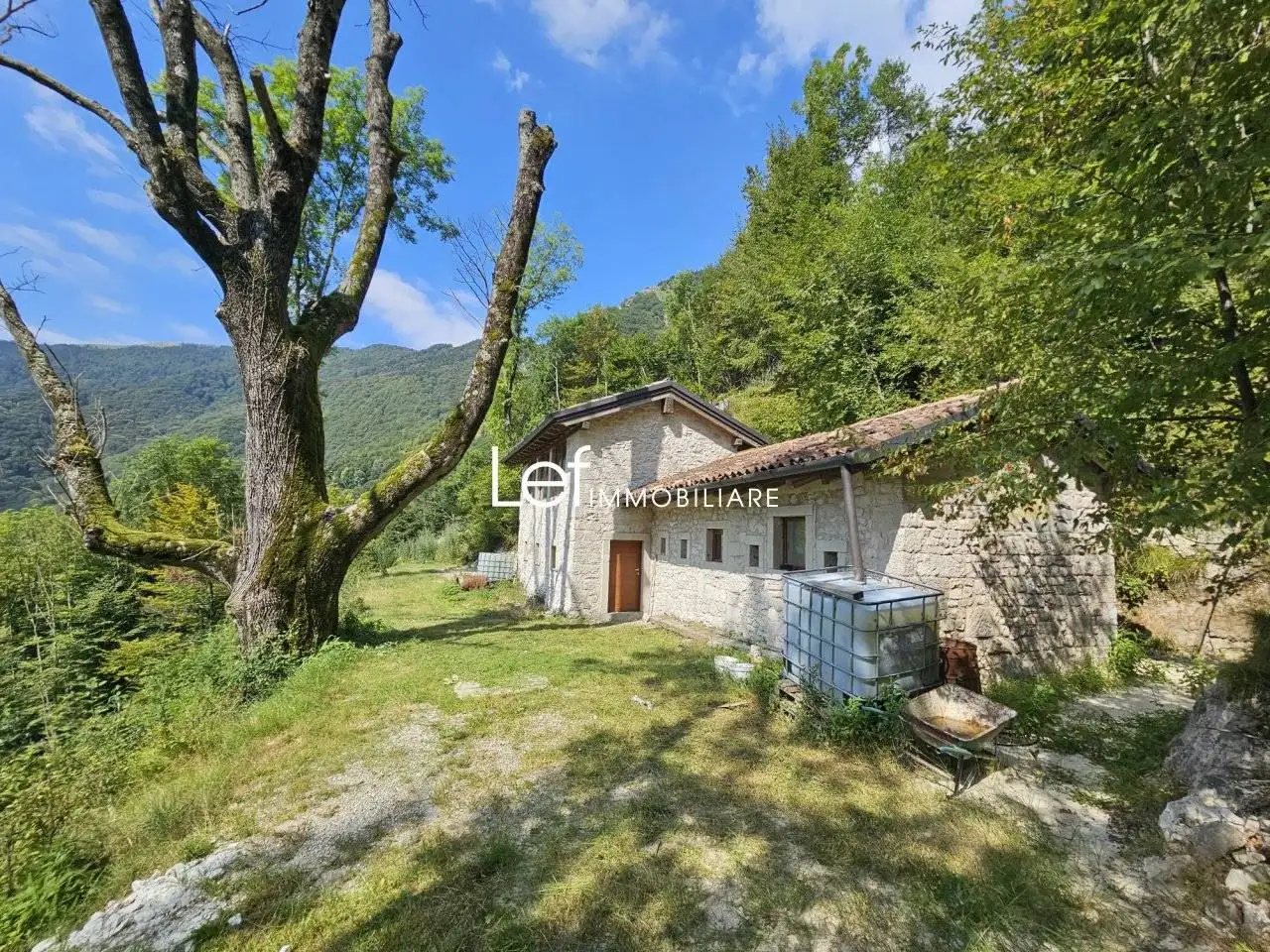 Rustico - Casale in vendita a Miane