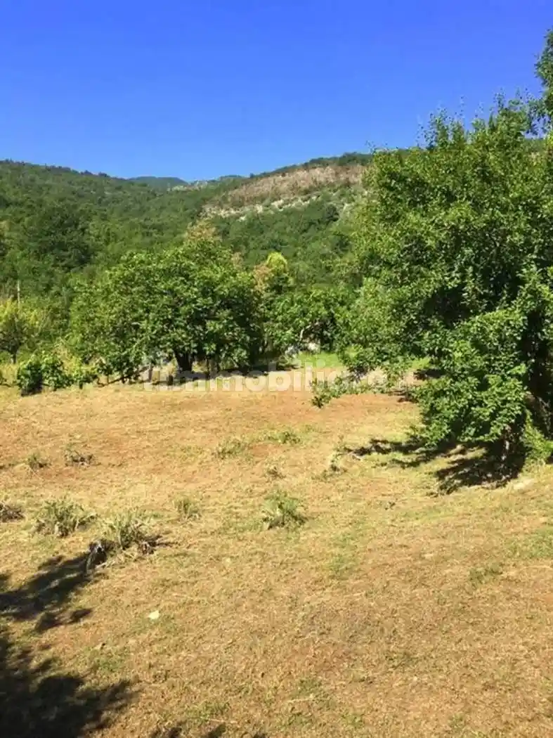 Cascina Strada Provinciale Per Pastena, Falvaterra - foto 4