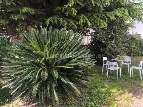 Trilocale via Giovanni Lanza, Mira Porte, Mira - foto 2