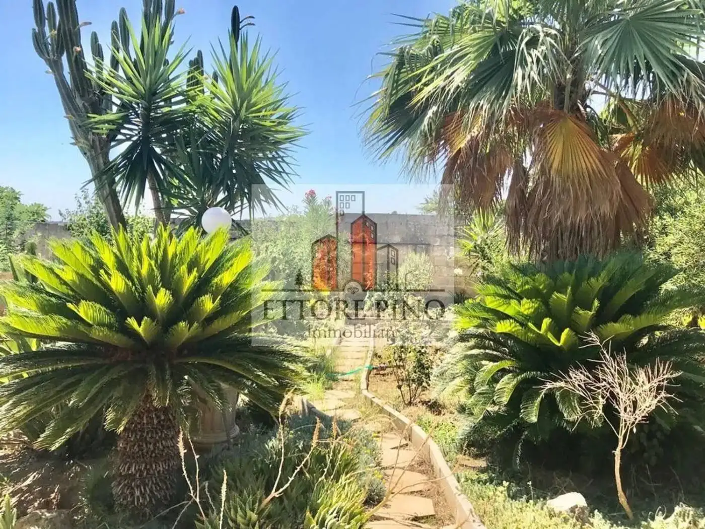 Villa unifamiliare via Roma San C., Collepasso - foto 2