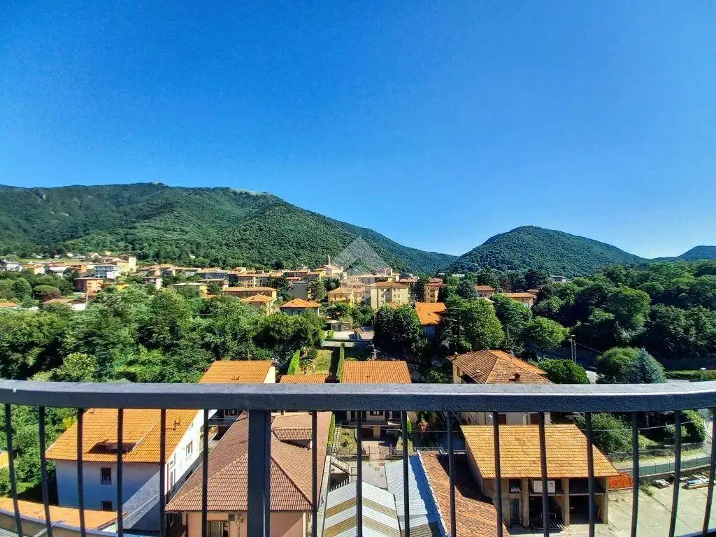 Appartamento in vendita a Canzo