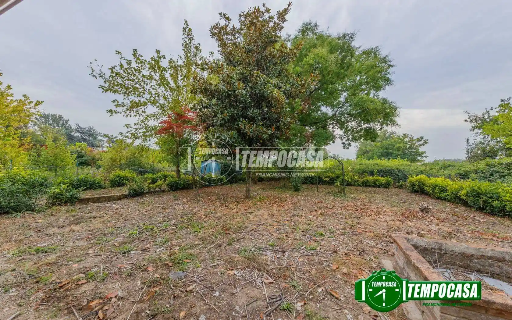 Palazzo - Edificio in Vendita - foto 5