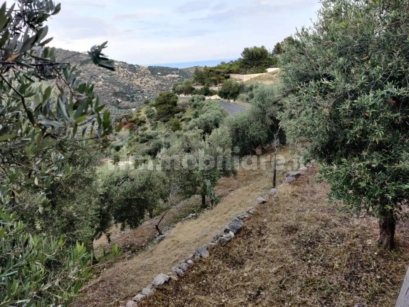 Rustico - Casale in vendita a Mattinata