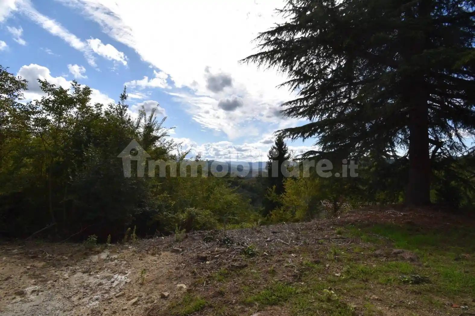 Casale regione Sconi, Cassinasco - foto 5