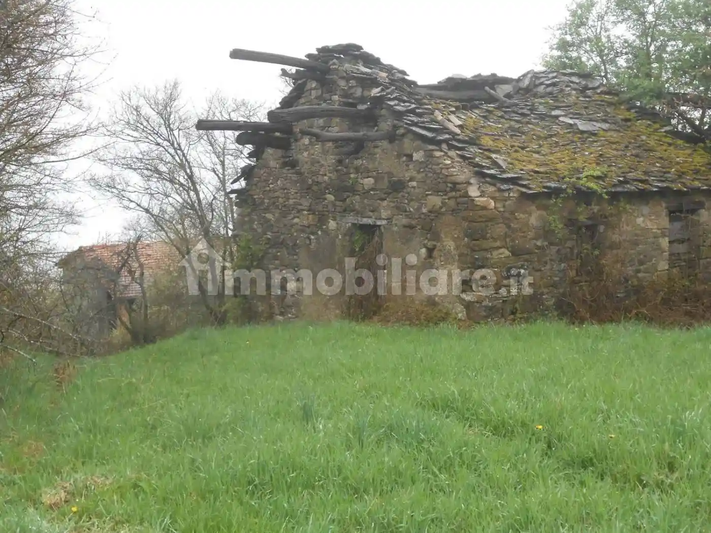 Cascina Località Rovere, Coli - foto 2