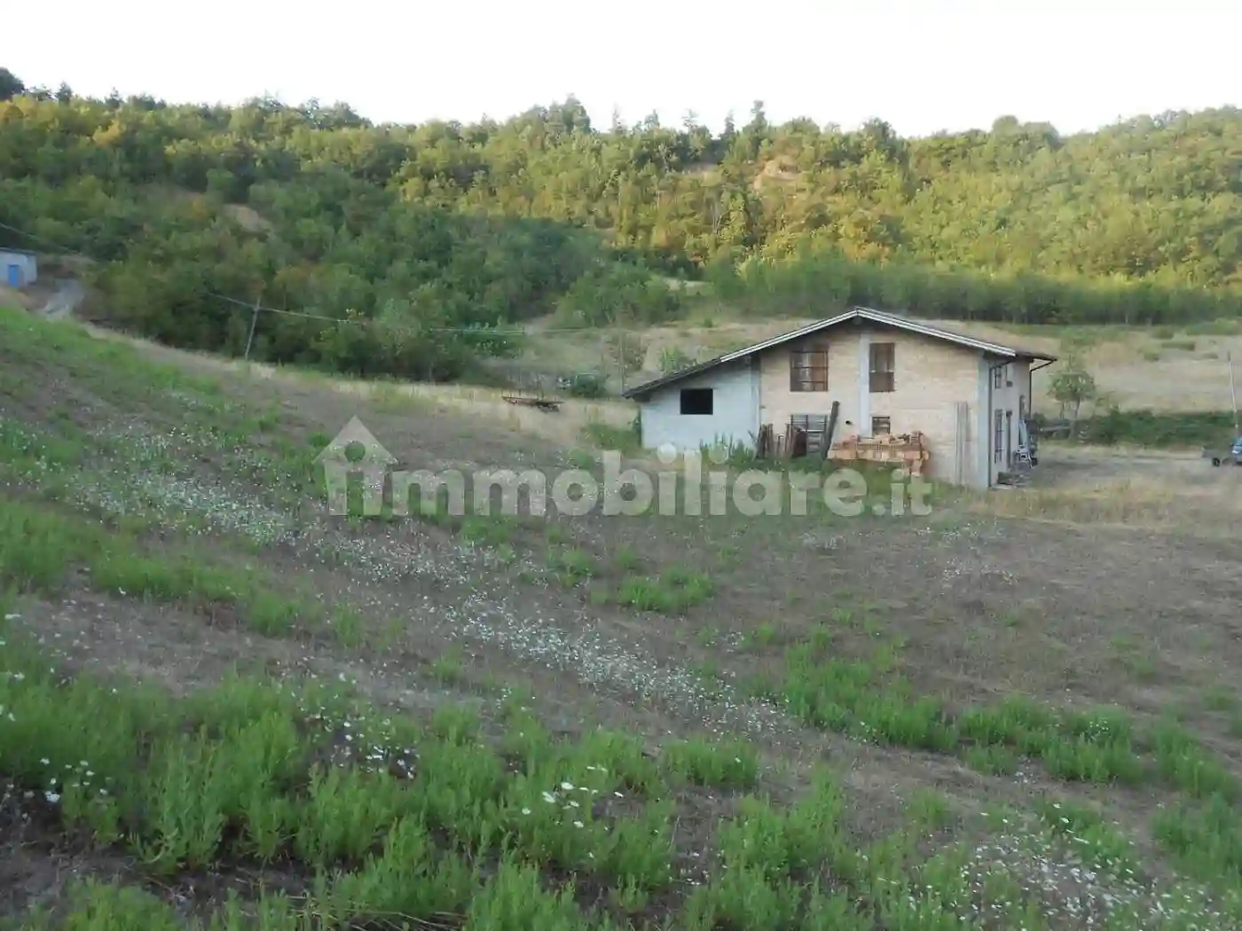 Rustico - Casale - foto 5