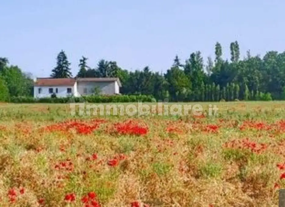 Rustico - Casale in vendita a Tortona