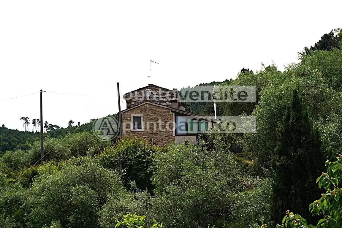 Rustico - Casale in vendita a Capannori