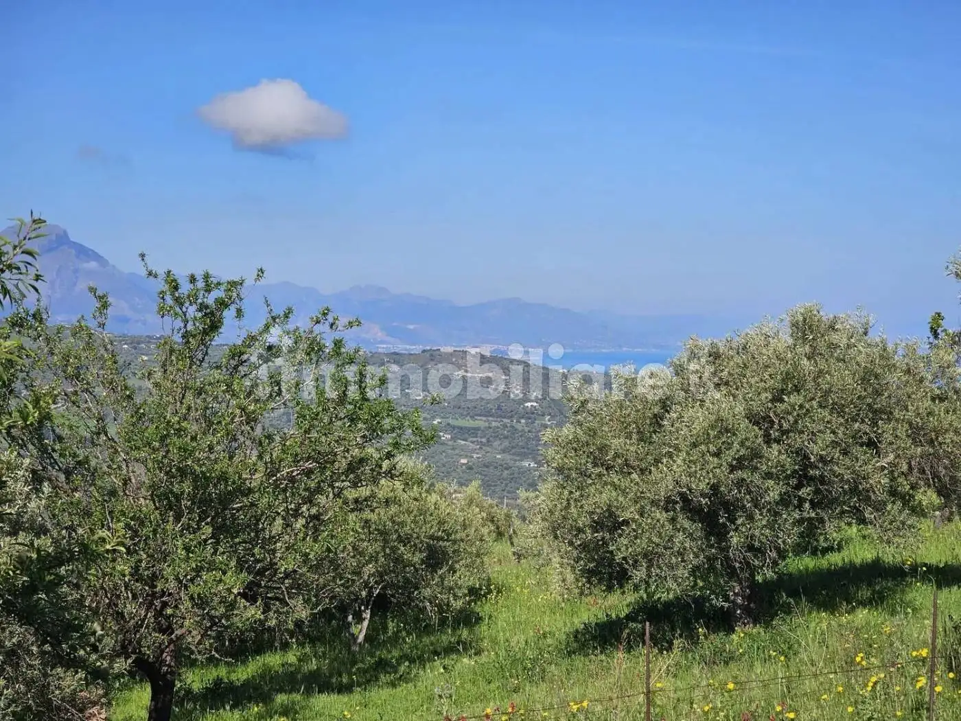 Cascina via Ogliastro, Collesano - foto 4