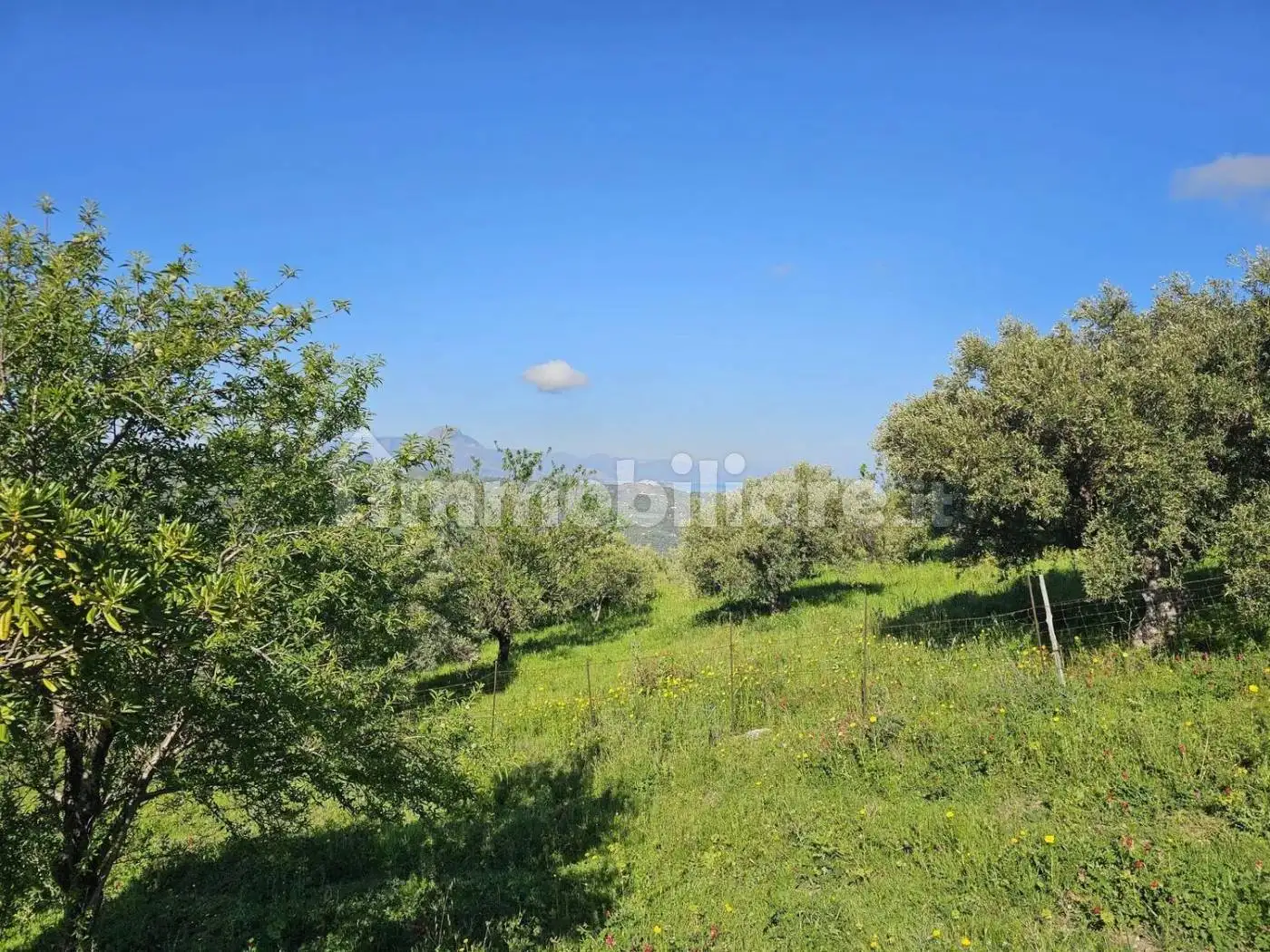 Cascina via Ogliastro, Collesano - foto 5