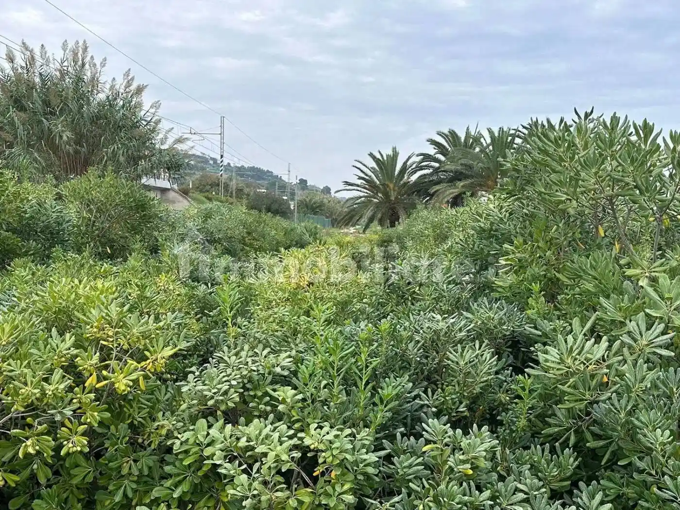 Villa unifamiliare Strada Statake   16 No Number, Cupra Marittima - foto 5