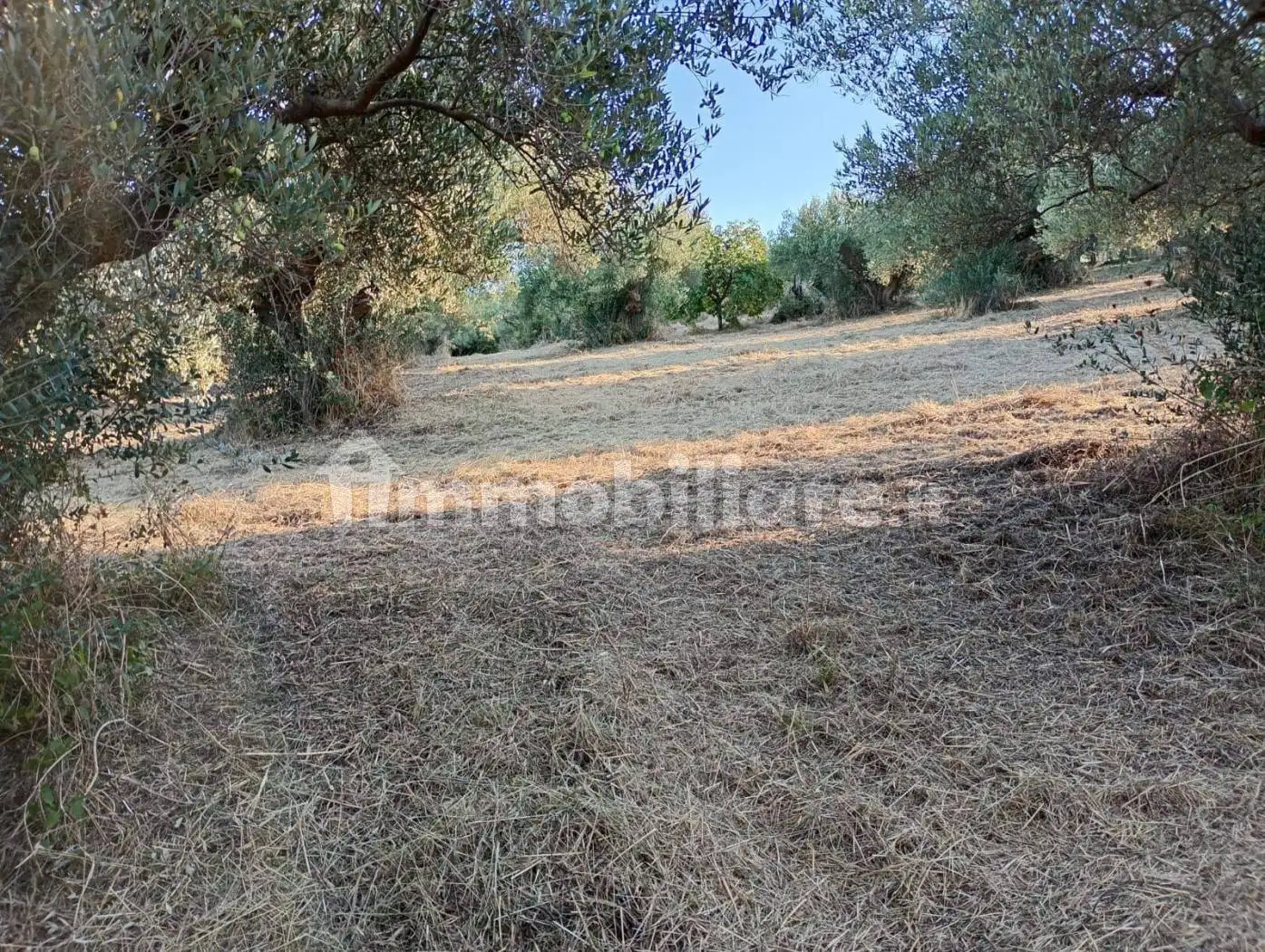 Casale Sant'Amico, Sant'Amico, Archi - foto 5