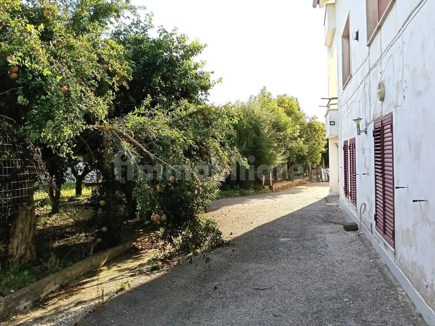 Villa bifamiliare via Pizzola, Arienzo - foto 3