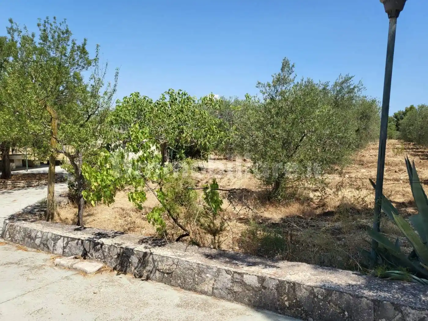 Quadrilocale via Castel del Monte, Montegrosso - Boschetto, Andria - foto 5