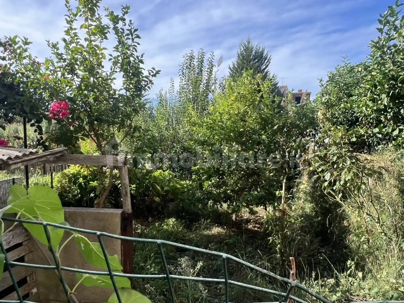 Appartamento viale Senatore Parodi traversa 4, Vibo Marina, Vibo Valentia - foto 2