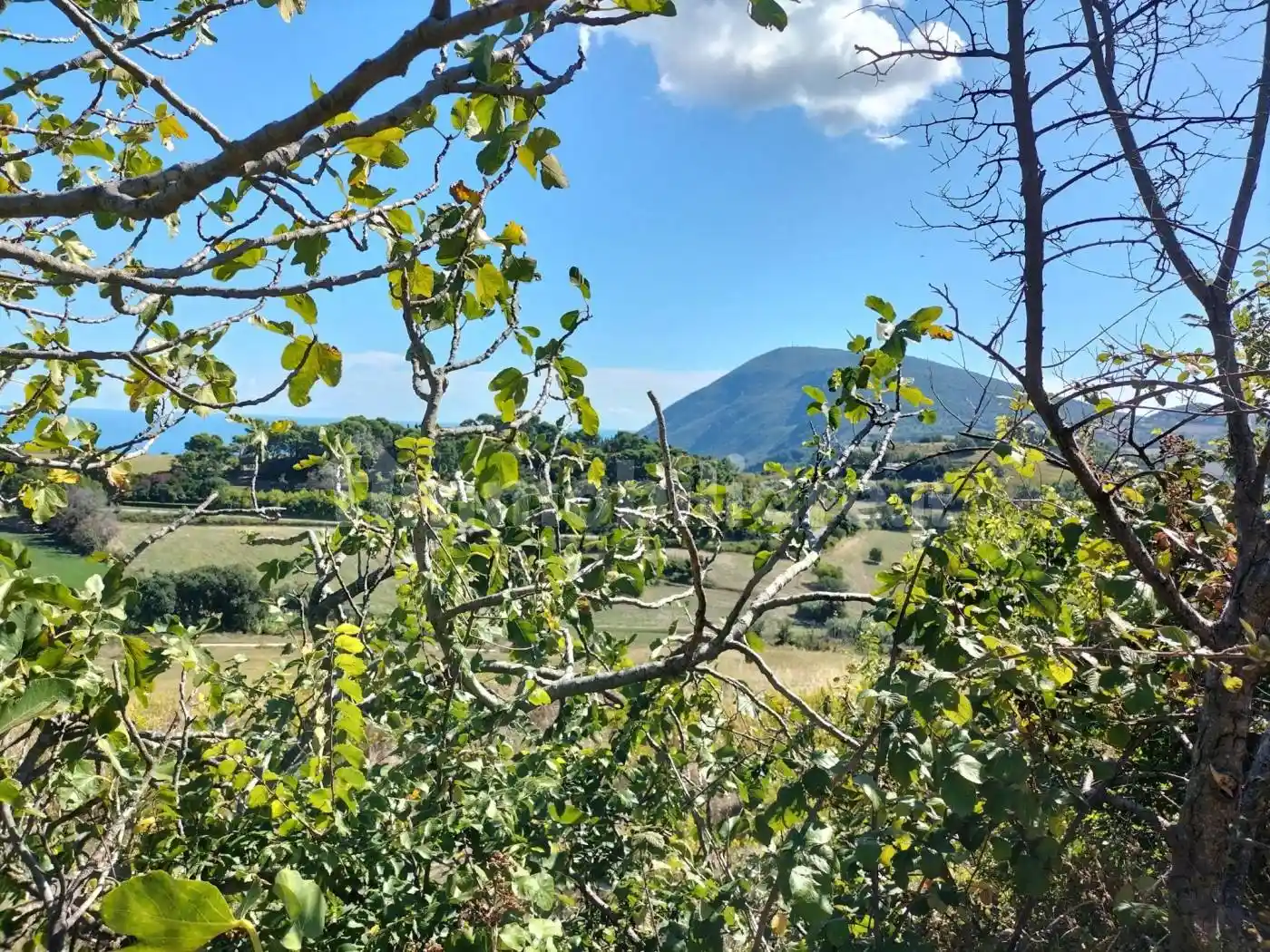 Villa unifamiliare, nuova, 350 m², Pietralacroce, Ancona - foto 5