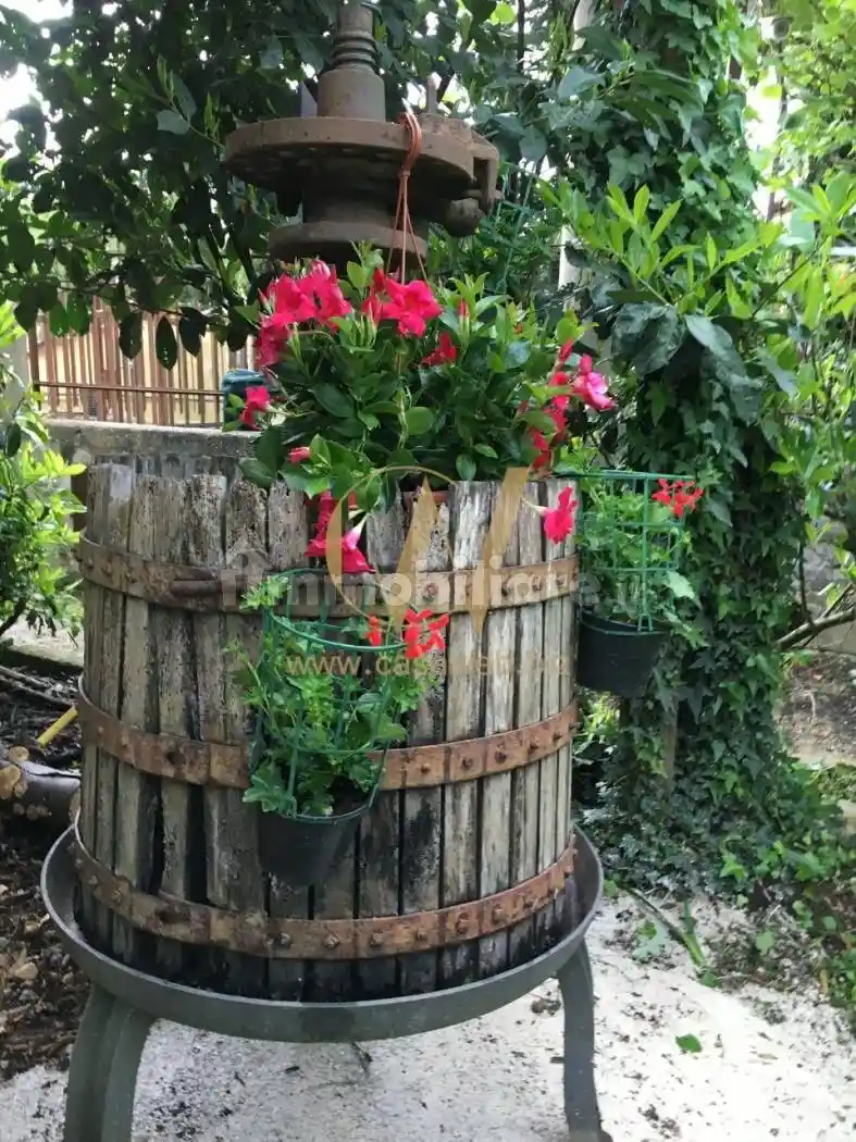 Rustico - Casale - foto 5