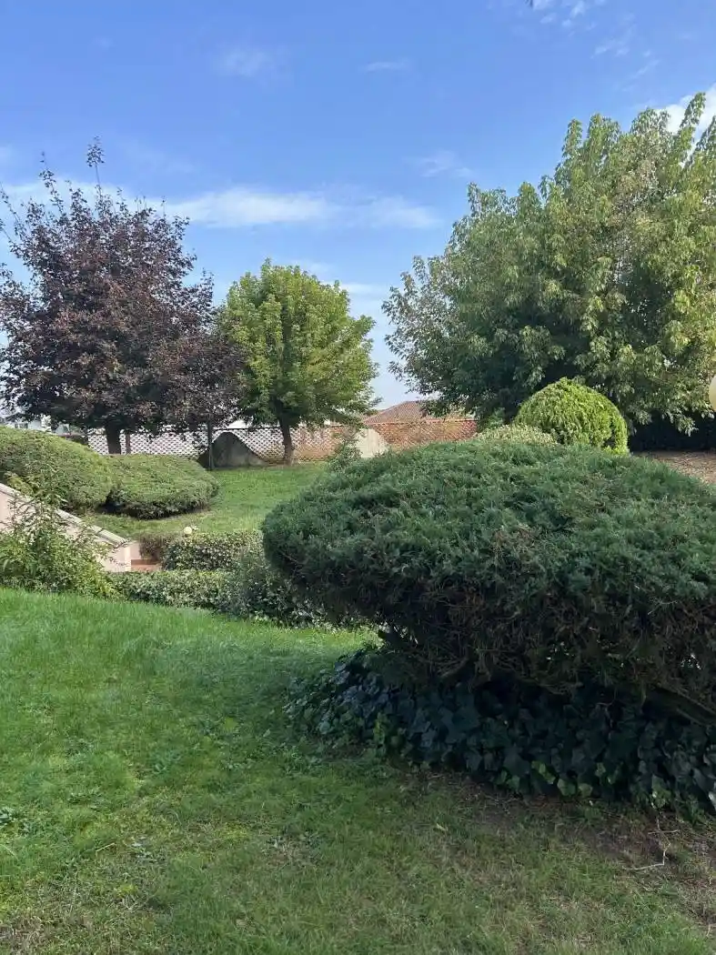 Villa unifamiliare frazione Revignano 103, Palucco, Asti - foto 2