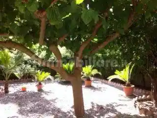 Appartamento via Spalato, Centro, Siderno - foto 2