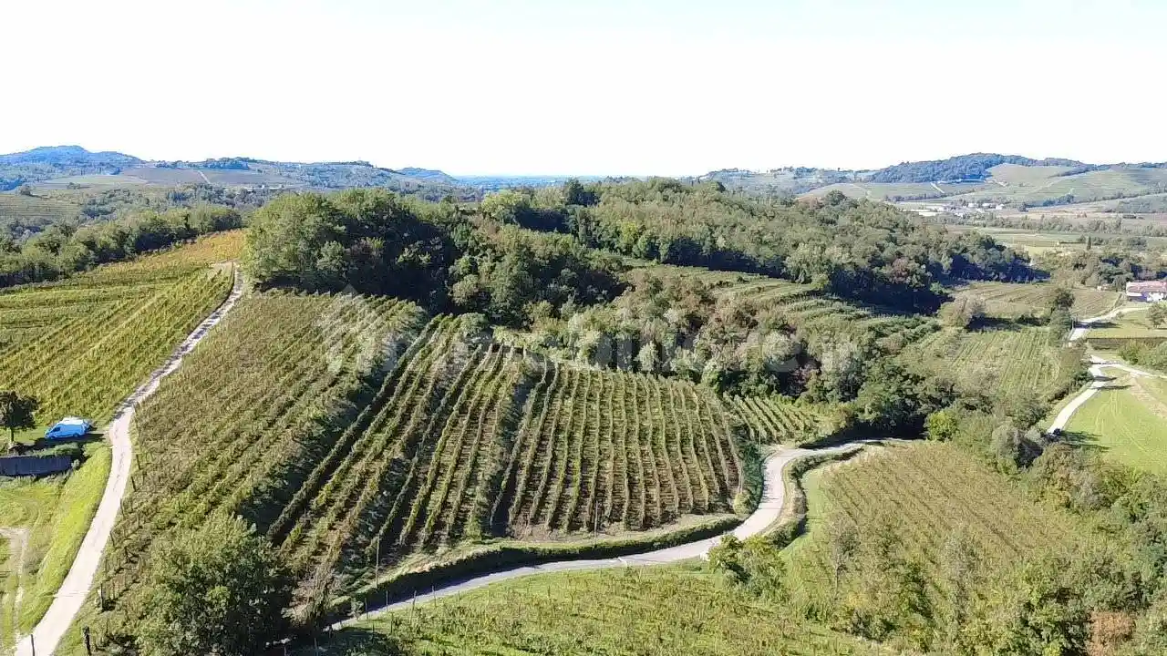 Rustico Località Quarnizza, Dolegna del Collio - foto 5