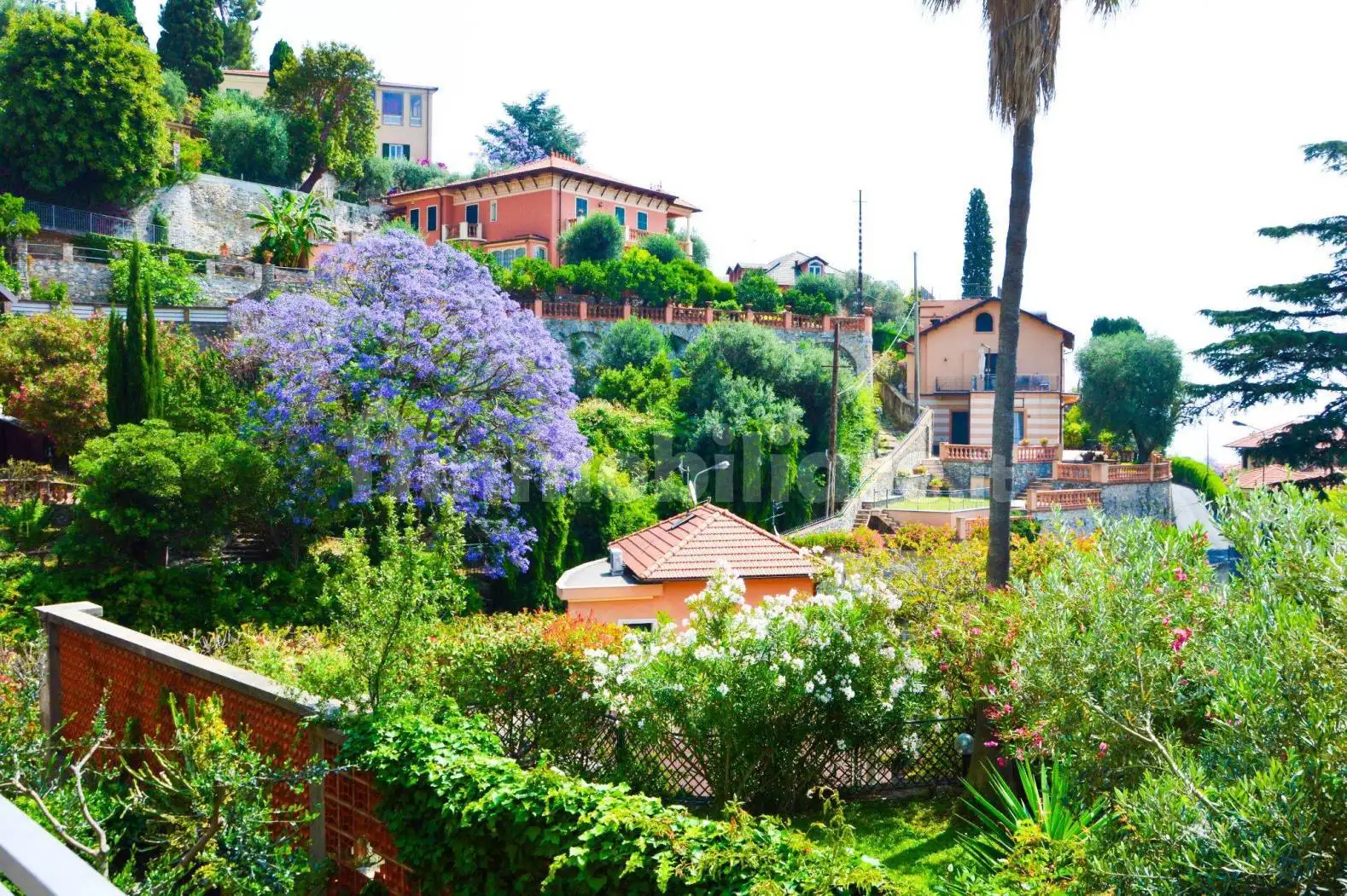 Appartamento in affitto a Alassio